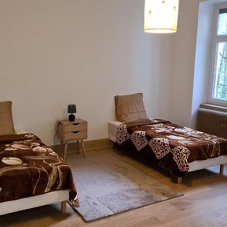 Grand 4P Strasbourg Orangerie 7 Personnes Proche D Allemagne Estrasburgo Exterior foto