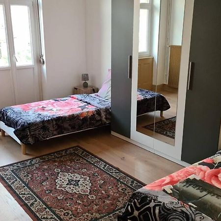 Grand 4P Strasbourg Orangerie 7 Personnes Proche D Allemagne Estrasburgo Exterior foto