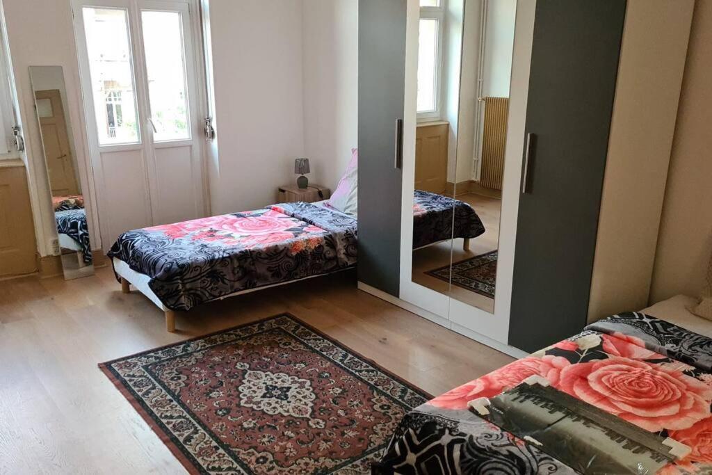 Grand 4P Strasbourg Orangerie 7 Personnes Proche D Allemagne Estrasburgo Exterior foto